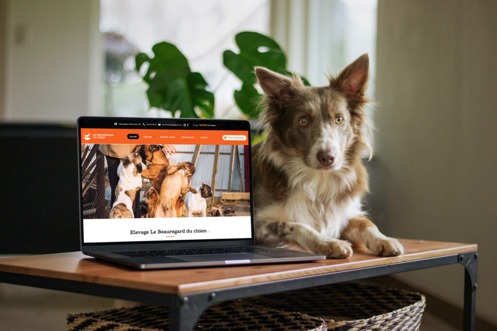 Le Beauregard du Chien – Création de site Internet